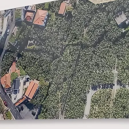 Casa Orquidea T3 Apartamento