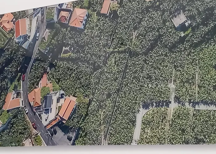 Casa Orquidea T3 Διαμέρισμα